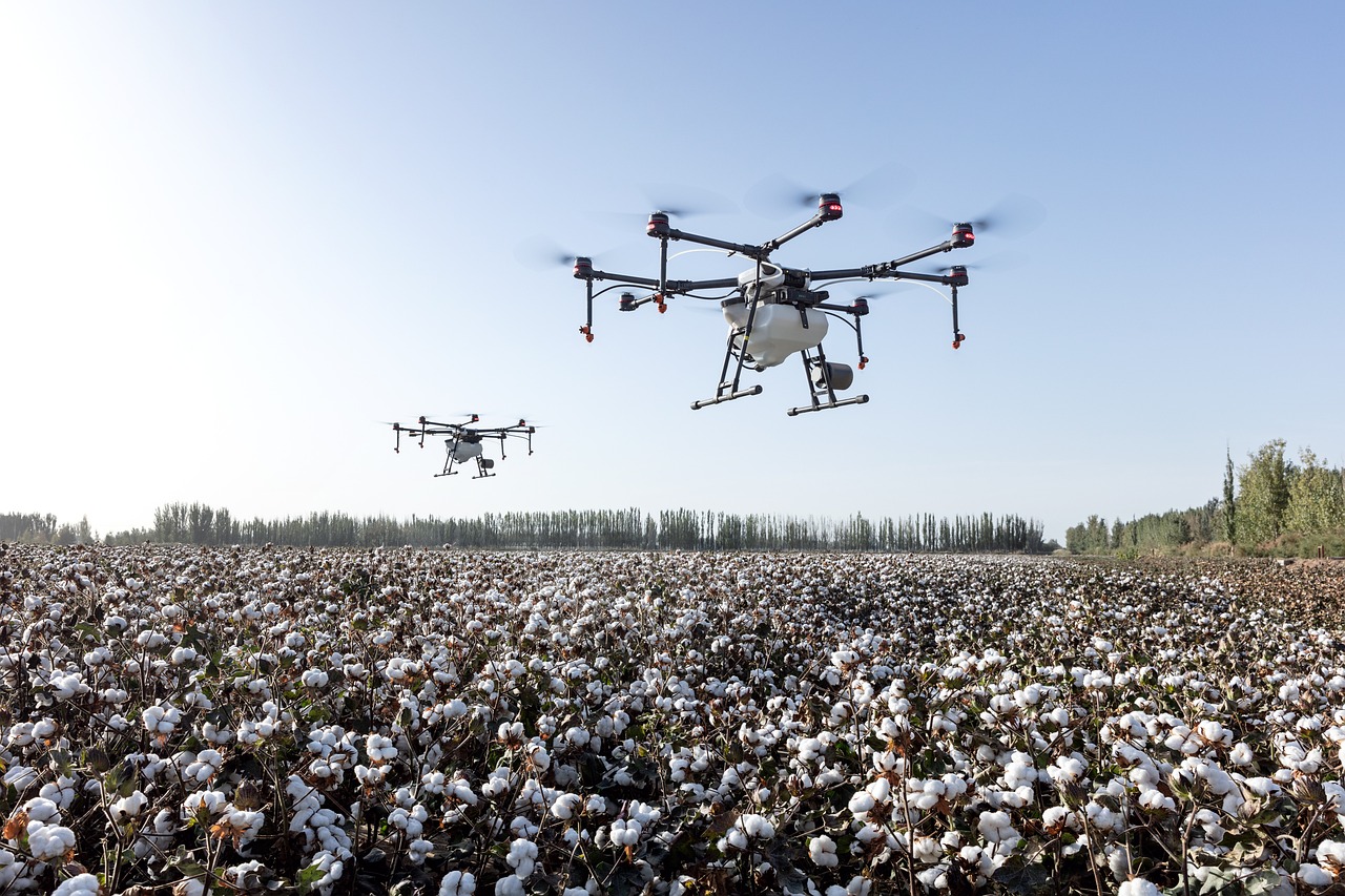 agriculture-4208863_1280